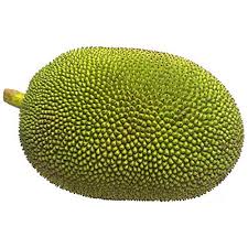 Image of jackfruit