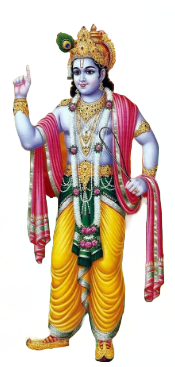 Image of Go Mata